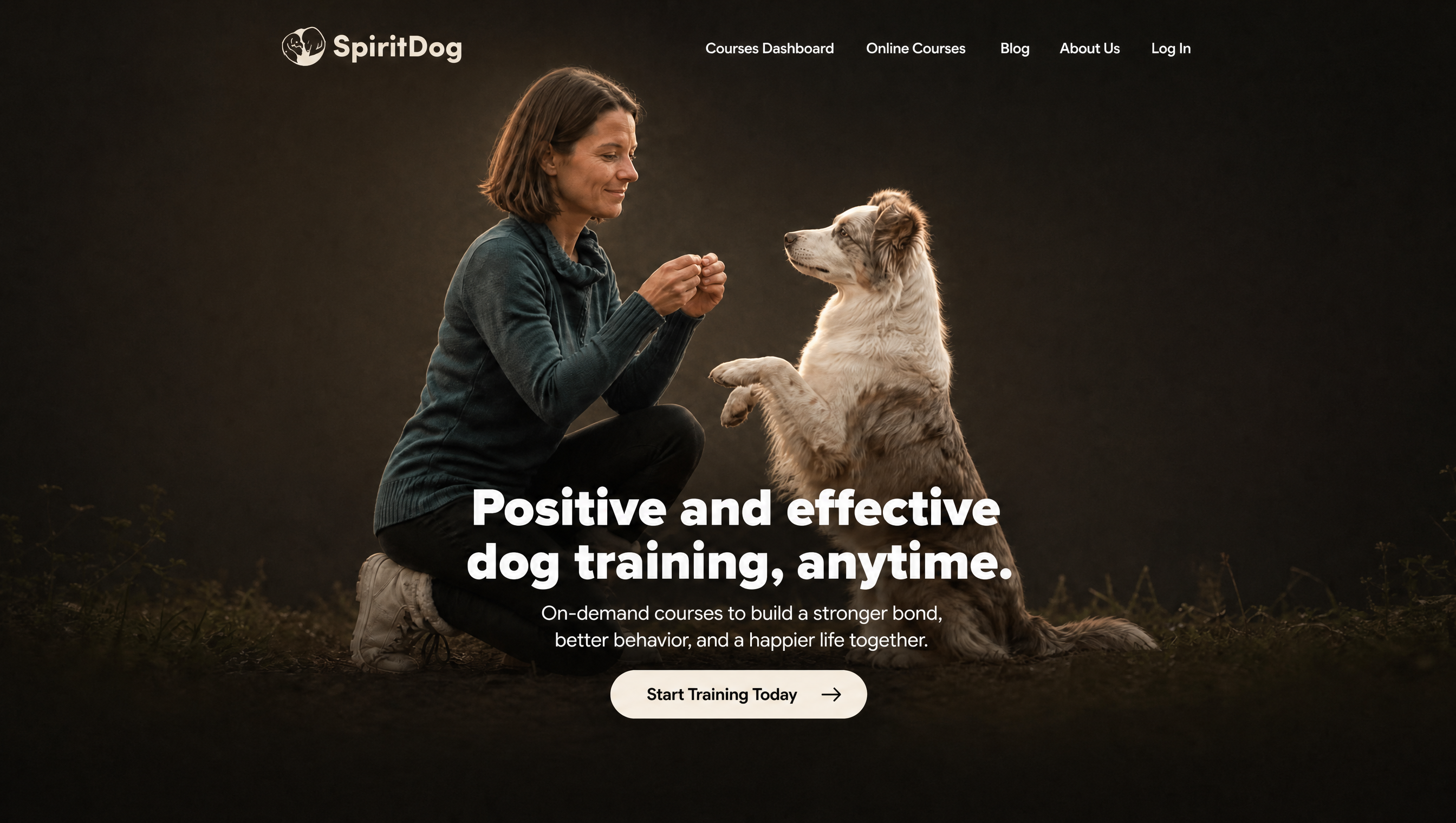 SpiritDog Training website preview